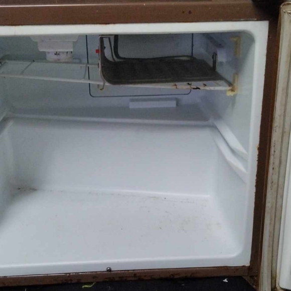 Sayno Mini Fridge - Picture 5 of 6